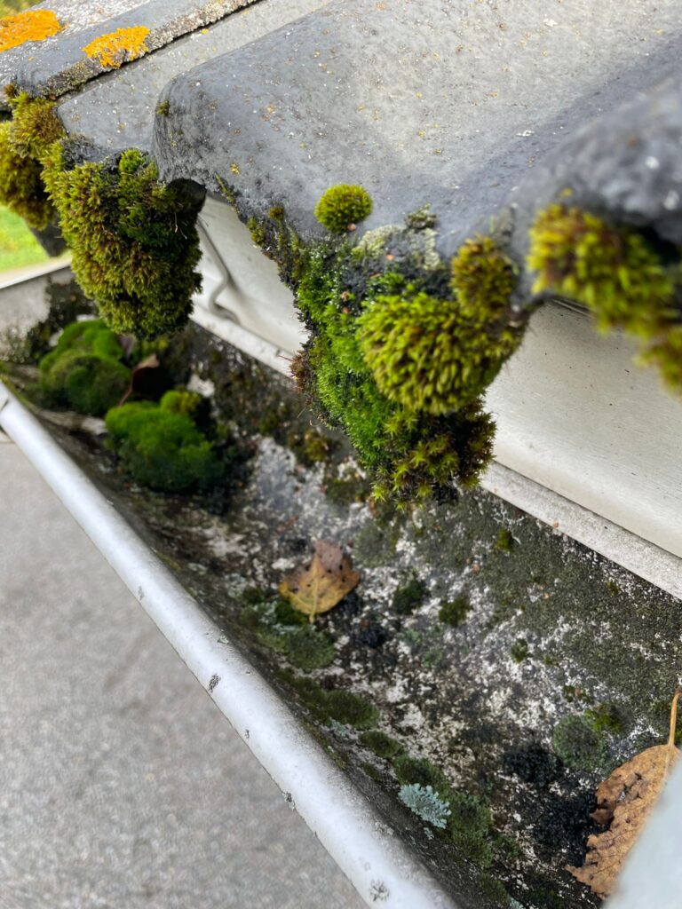 Tukkeutunut sadevesikouru.